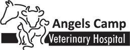 Angel Camp Veterinary Group Logo