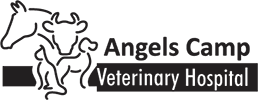 Angel Camp Veterinary Group Logo