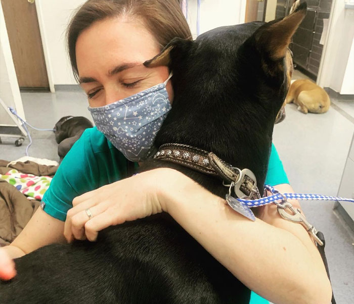 AAHA Vet in Angels Camp Angels Camp Veterinary Hospital