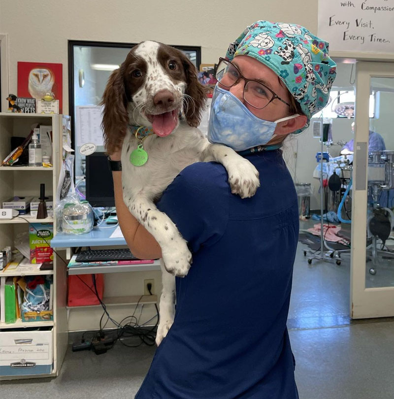 Careers Vet in Angels Camp Angels Camp Veterinary Hospital