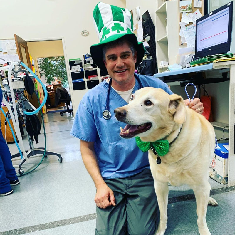 Careers Vet in Angels Camp Angels Camp Veterinary Hospital