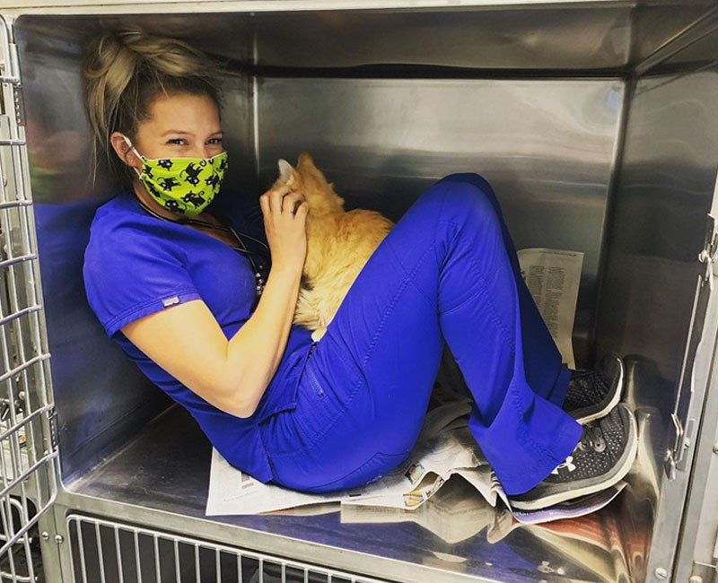 Careers Vet in Angels Camp Angels Camp Veterinary Hospital