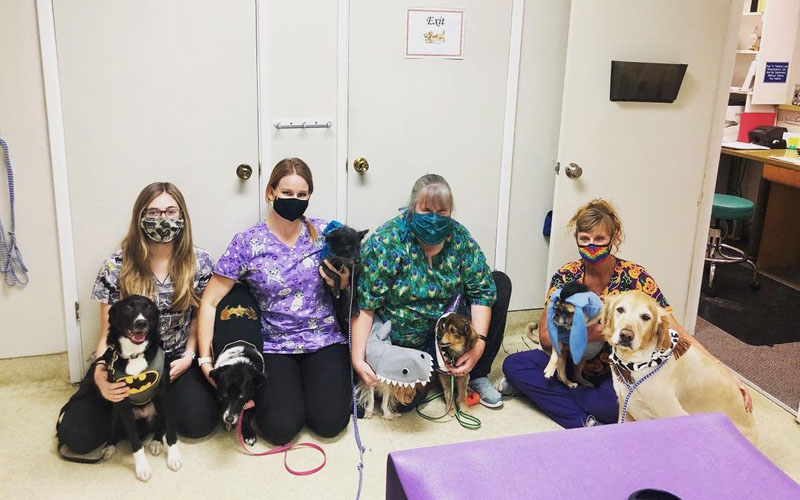 Careers Vet in Angels Camp Angels Camp Veterinary Hospital