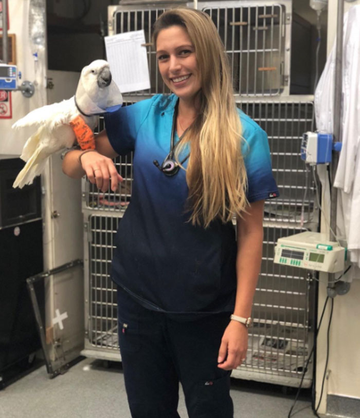 AAHA Vet in Angels Camp Angels Camp Veterinary Hospital